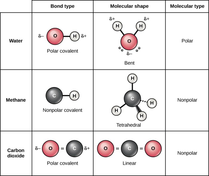 Is sis2 polar or nonpolar