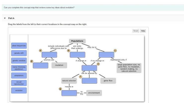 Evolution concept map answers key