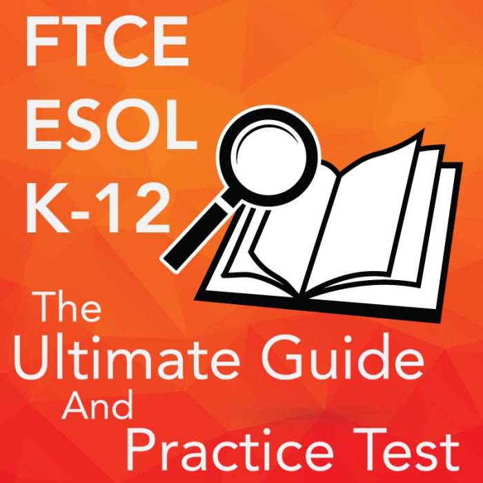 Ftce examinations certification