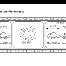 Momentum and impulse worksheet answers