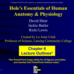 Hole's essentials of human anatomy and physiology pdf